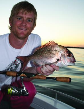 Most people think bream when they think of light tackle luring, but many other species also are viable targets – pinky snapper in particular.